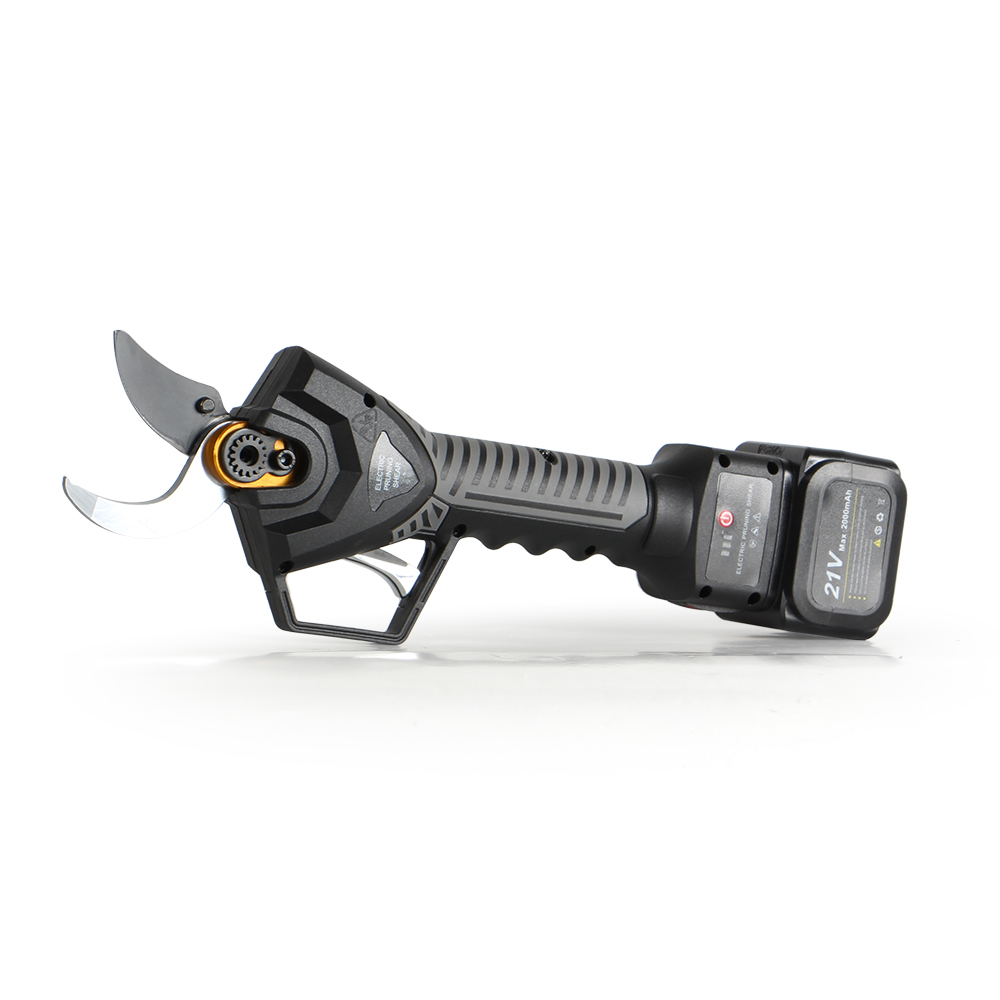 Electric Pruner With Extension Pole - Sécateur électrique de poteau de 21V,
