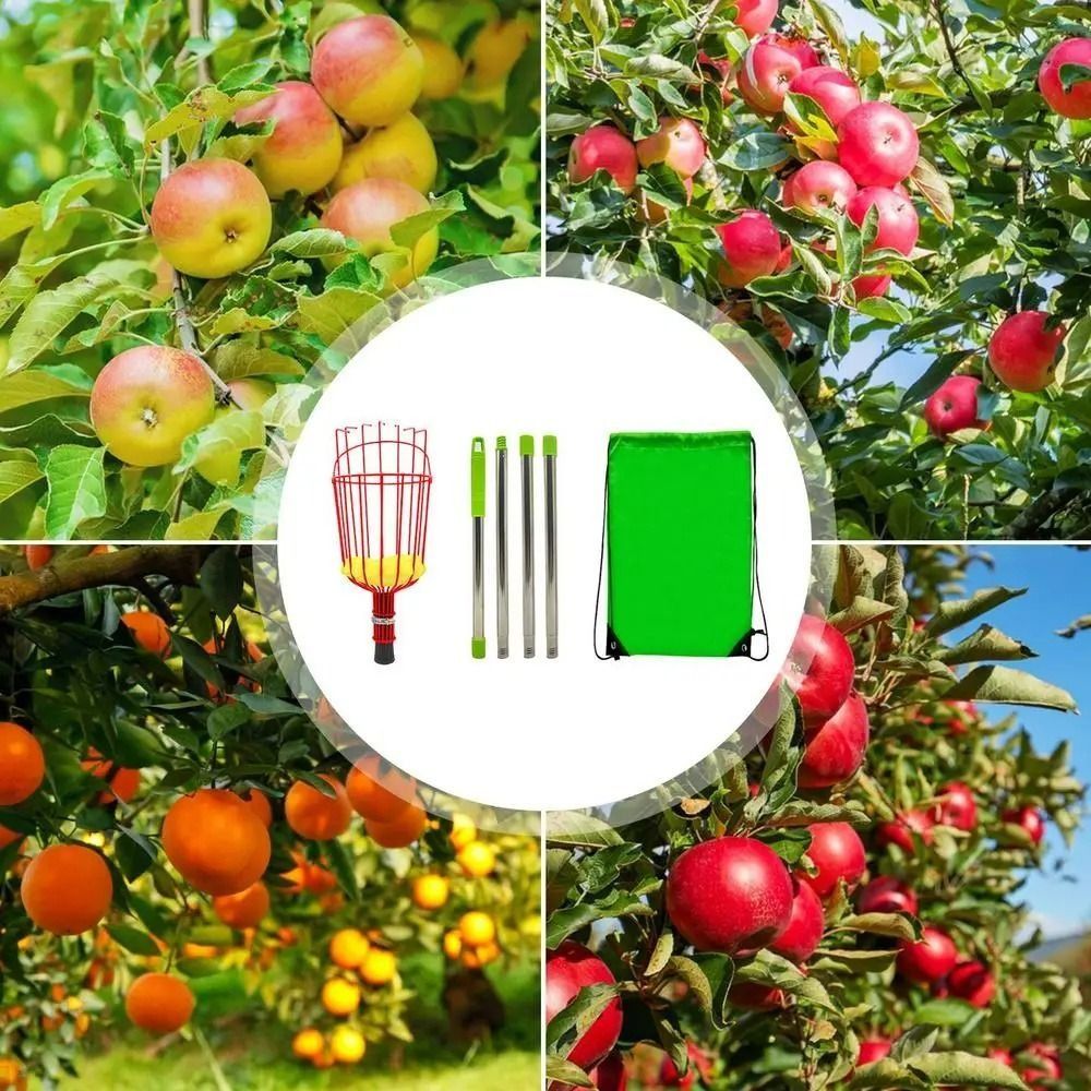 Fruit Picker Basket Telescopic Pole - Piqueur de fruits avec panier, perche