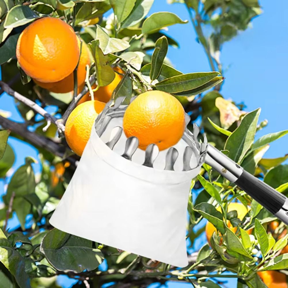 Fruit Picker Basket Telescopic Pole - Machine à cueillir les fruits en