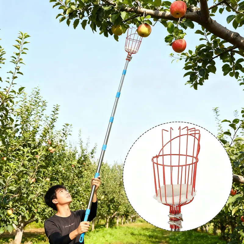 Fruit Picker Basket Telescopic Pole - Outil de cueillette de fruits Winslow