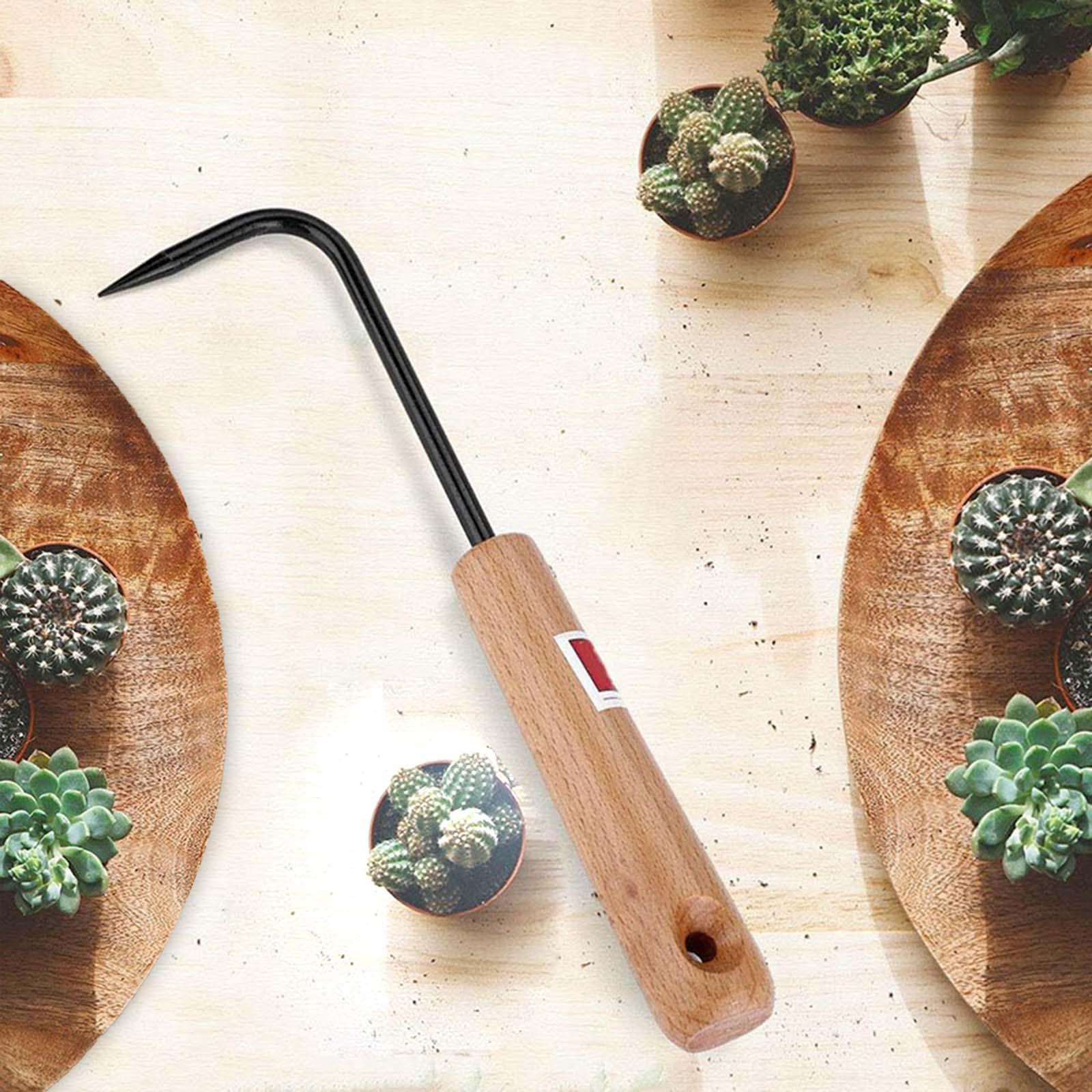 Root Hook Bonsai Repotting Rake - Râteau à racines, outil de jardinage