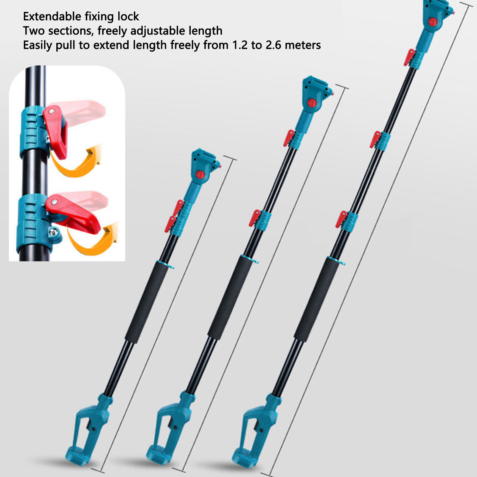 Accessoire pour outil électriq - Electric Pruner With Extension Pole avis et prix