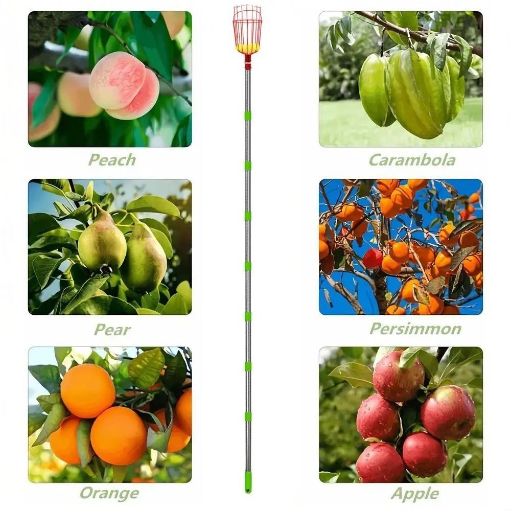 Perche à fruits télescopique p - Fruit Picker Basket Telescopic Pole avis et prix