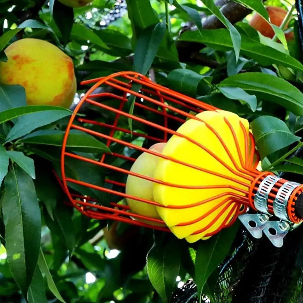 Perche à fruits télescopique p - Fruit Picker Basket Telescopic Pole avis et prix