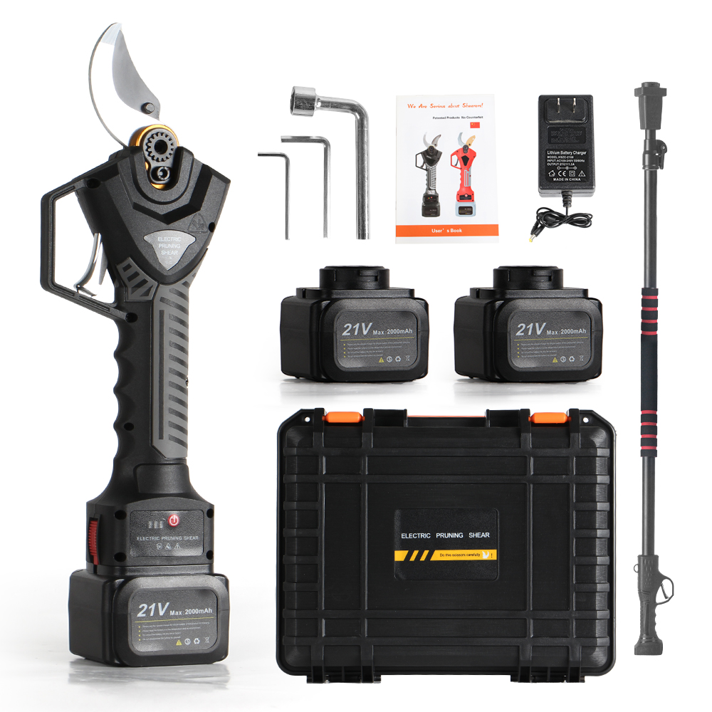 Sécateur électrique de poteau  - Electric Pruner With Extension Pole avis et prix