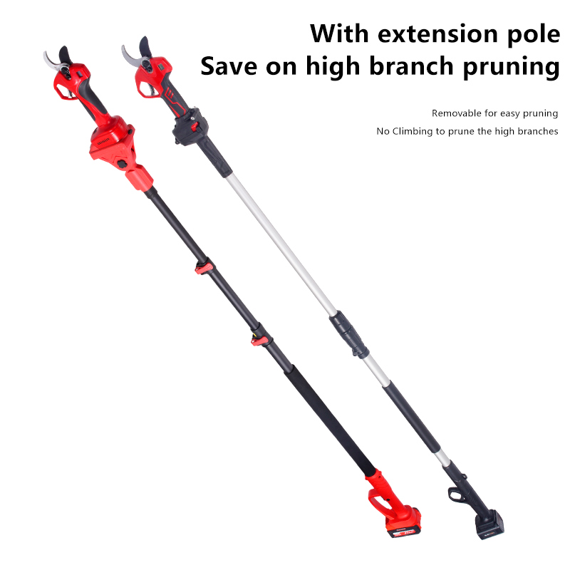 Sécateur électrique sans fil d - Electric Pruner With Extension Pole avis et prix