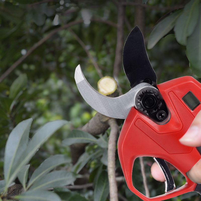 Sécateur électrique sans fil d - Electric Pruner With Extension Pole avis et prix