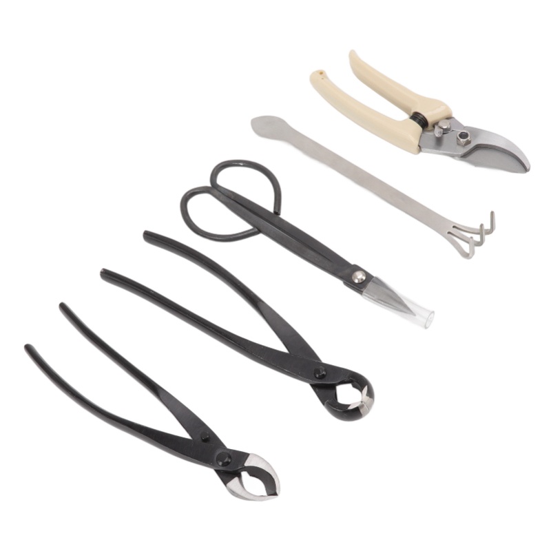 Kit d'outils pour bonsaï, 5 pi - Bonsai Tool Set Stainless Carbon Steel avis et prix