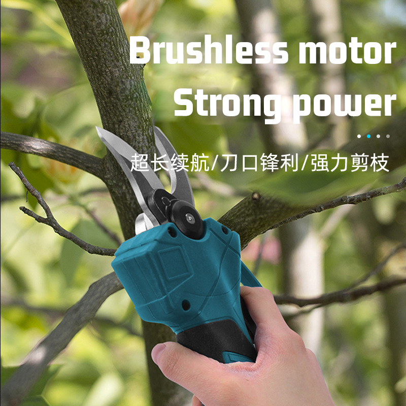 Sécateur électrique télescopiq - Electric Pruner With Extension Pole avis et prix