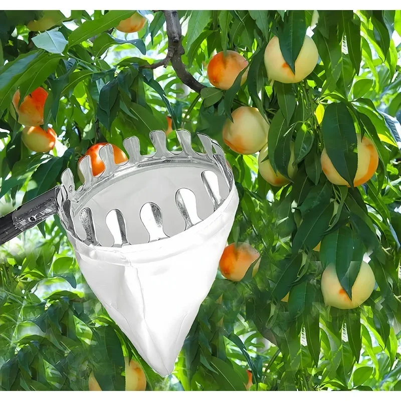 Cueilleur de fruits en haute a - Fruit Picker Basket Telescopic Pole avis et prix