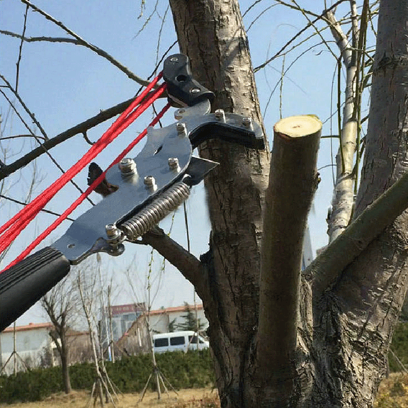 Sécateur télescopique Extentoo - Electric Pruner With Extension Pole avis et prix