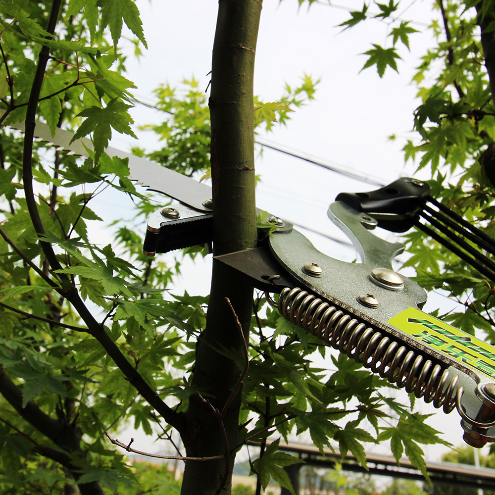 Sécateur télescopique Extentoo - Electric Pruner With Extension Pole avis et prix