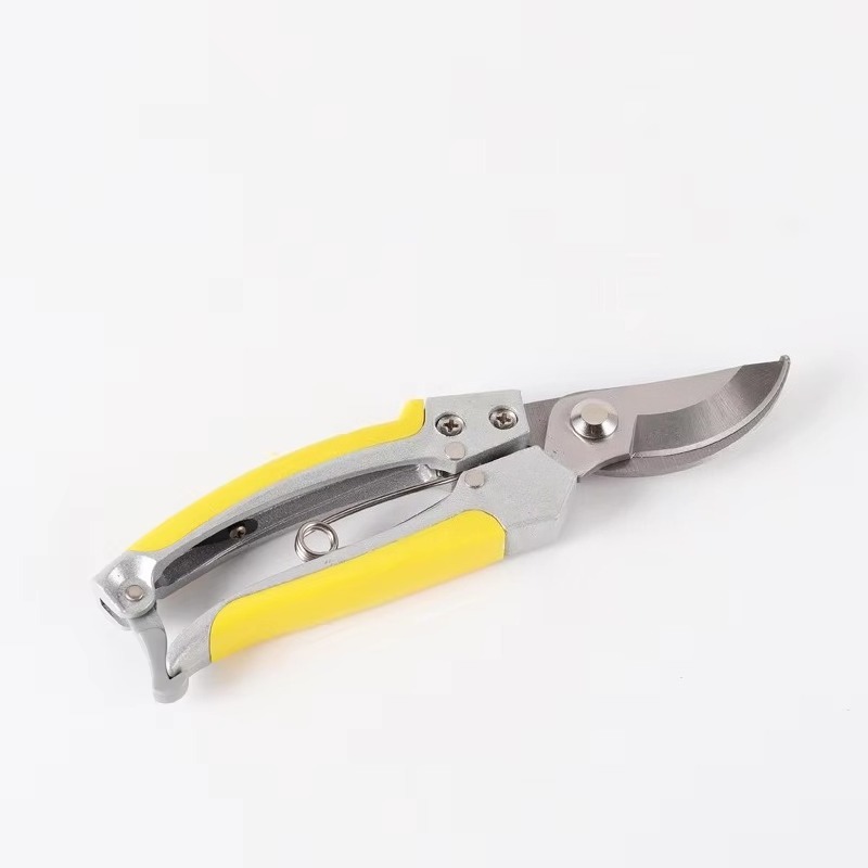 Ensemble de ciseaux de taille  - Bonsai Tool Set Stainless Carbon Steel avis et prix
