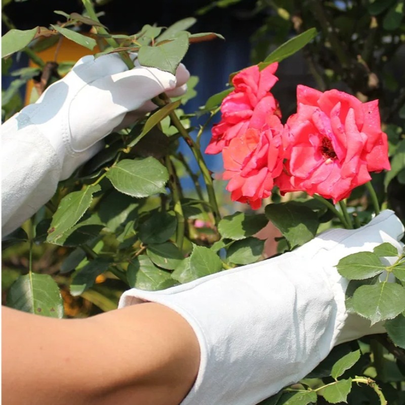 Une paire de gants de jardin a - Gardening Gloves Thorn Proof Leather avis et prix