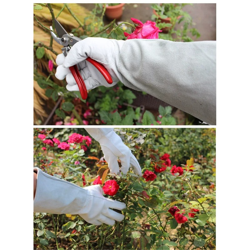 Une paire de gants de jardin a - Gardening Gloves Thorn Proof Leather avis et prix