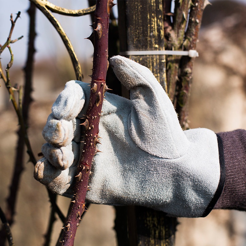 Une paire de gants de jardin a - Gardening Gloves Thorn Proof Leather avis et prix