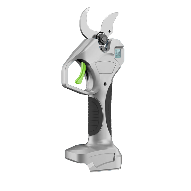 DTWA1-0029 21V télescopique ba - Electric Pruner With Extension Pole avis et prix