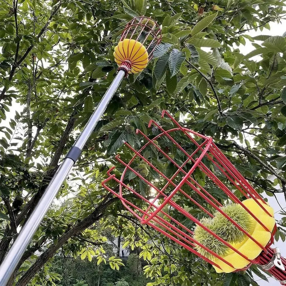 Cueilleur de fruits télescopiq - Fruit Picker Basket Telescopic Pole avis et prix