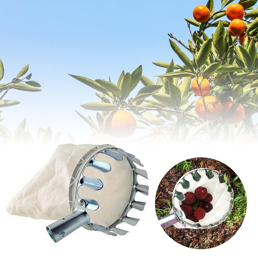 Machine à cueillir les fruits  - Fruit Picker Basket Telescopic Pole avis et prix
