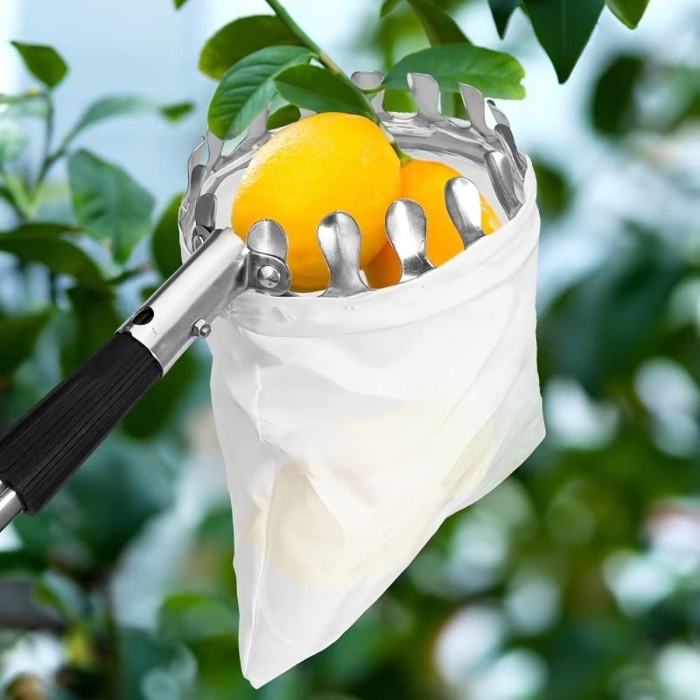 Machine à cueillir les fruits  - Fruit Picker Basket Telescopic Pole avis et prix