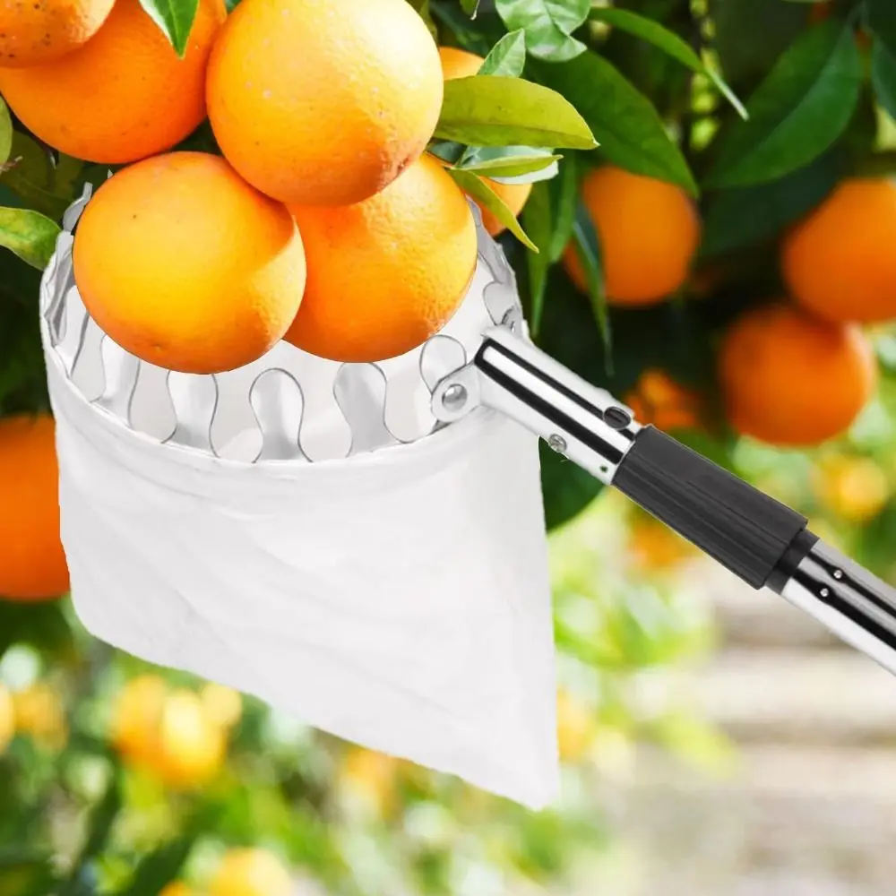 Machine récolteuse de fruits e - Fruit Picker Basket Telescopic Pole avis et prix
