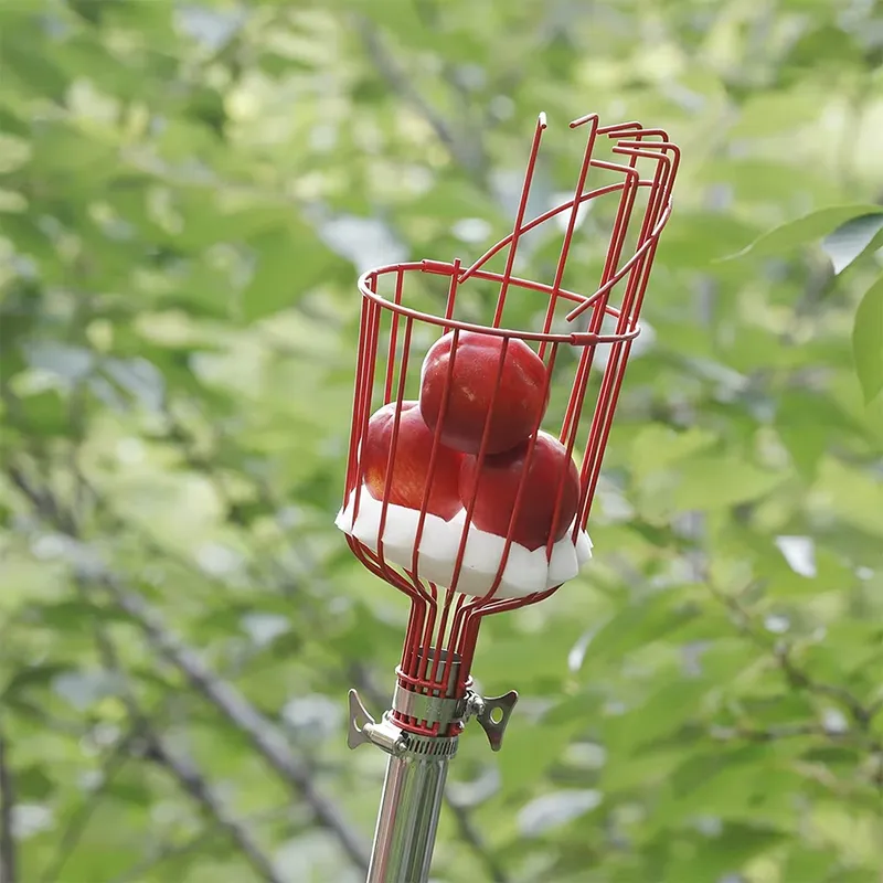 Outil de cueillette de fruits  - Fruit Picker Basket Telescopic Pole avis et prix