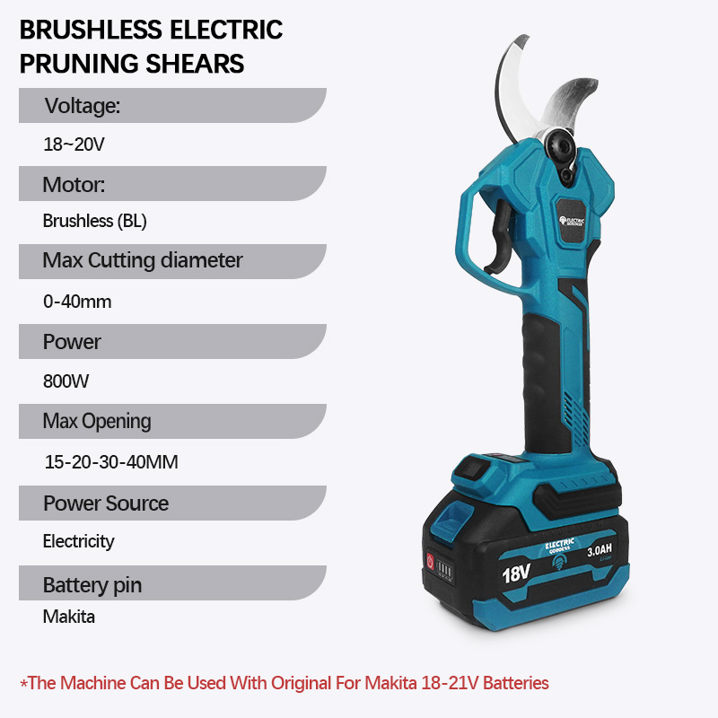 Déesse électrique pour podateu - Electric Pruner With Extension Pole avis et prix