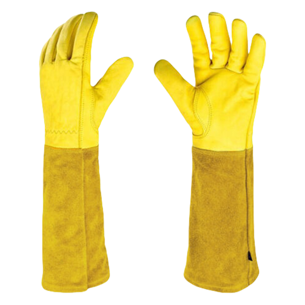 Gants de jardinage à longue ép - Gardening Gloves Thorn Proof Leather avis et prix