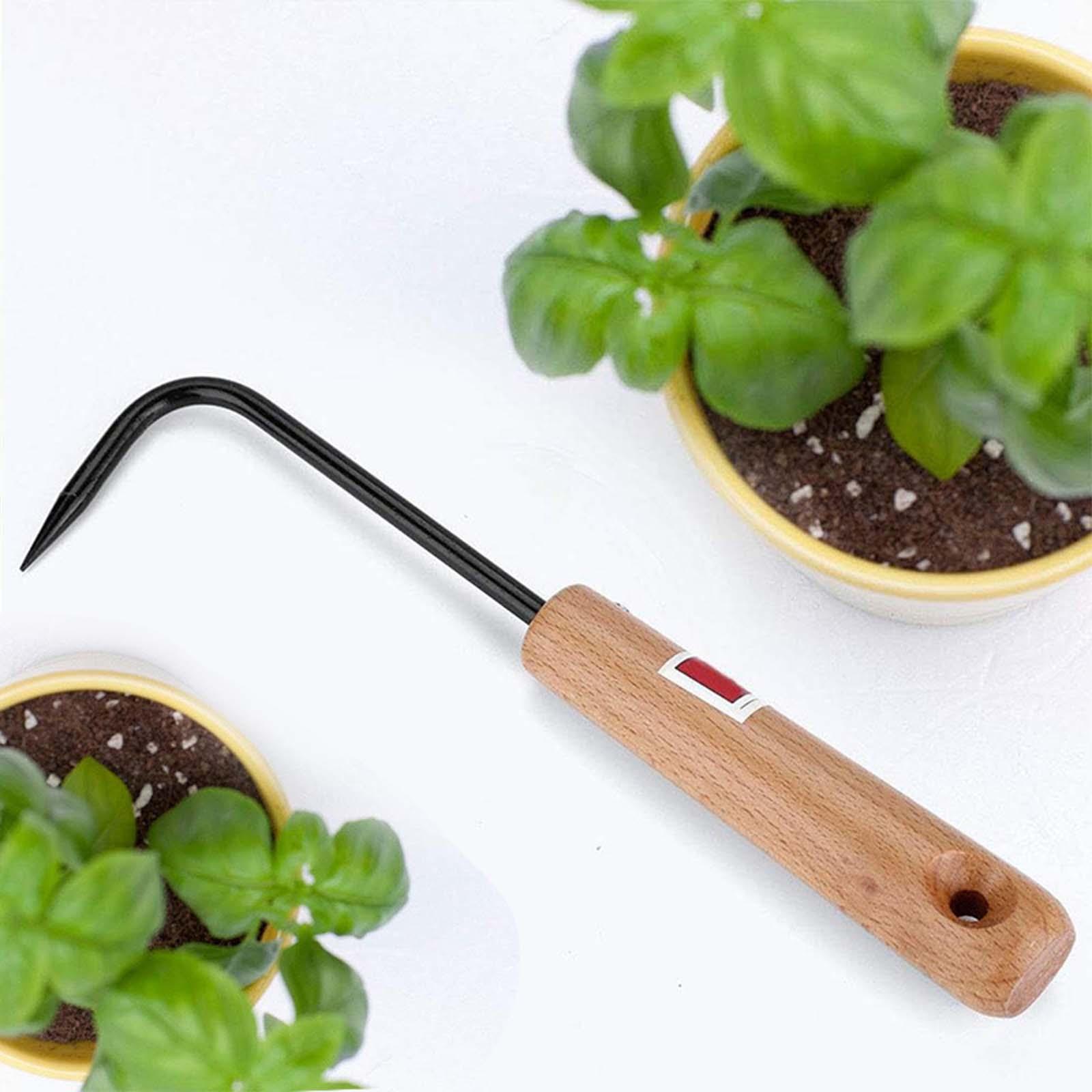 Râteau à racines, outil de jar - Root Hook Bonsai Repotting Rake avis et prix