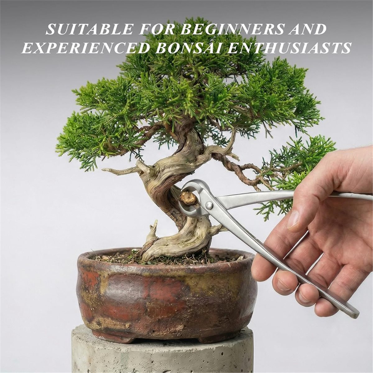Ensemble d'outils pour bonsaï  - Bonsai Tool Set Stainless Carbon Steel avis et prix