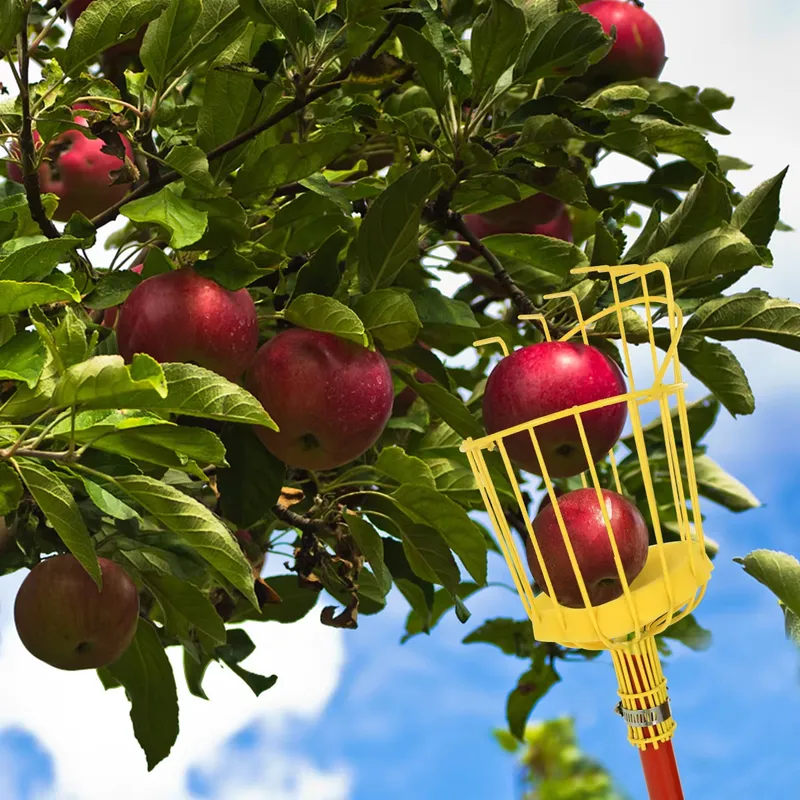 Outil de cueillette de fruits  - Fruit Picker Basket Telescopic Pole avis et prix