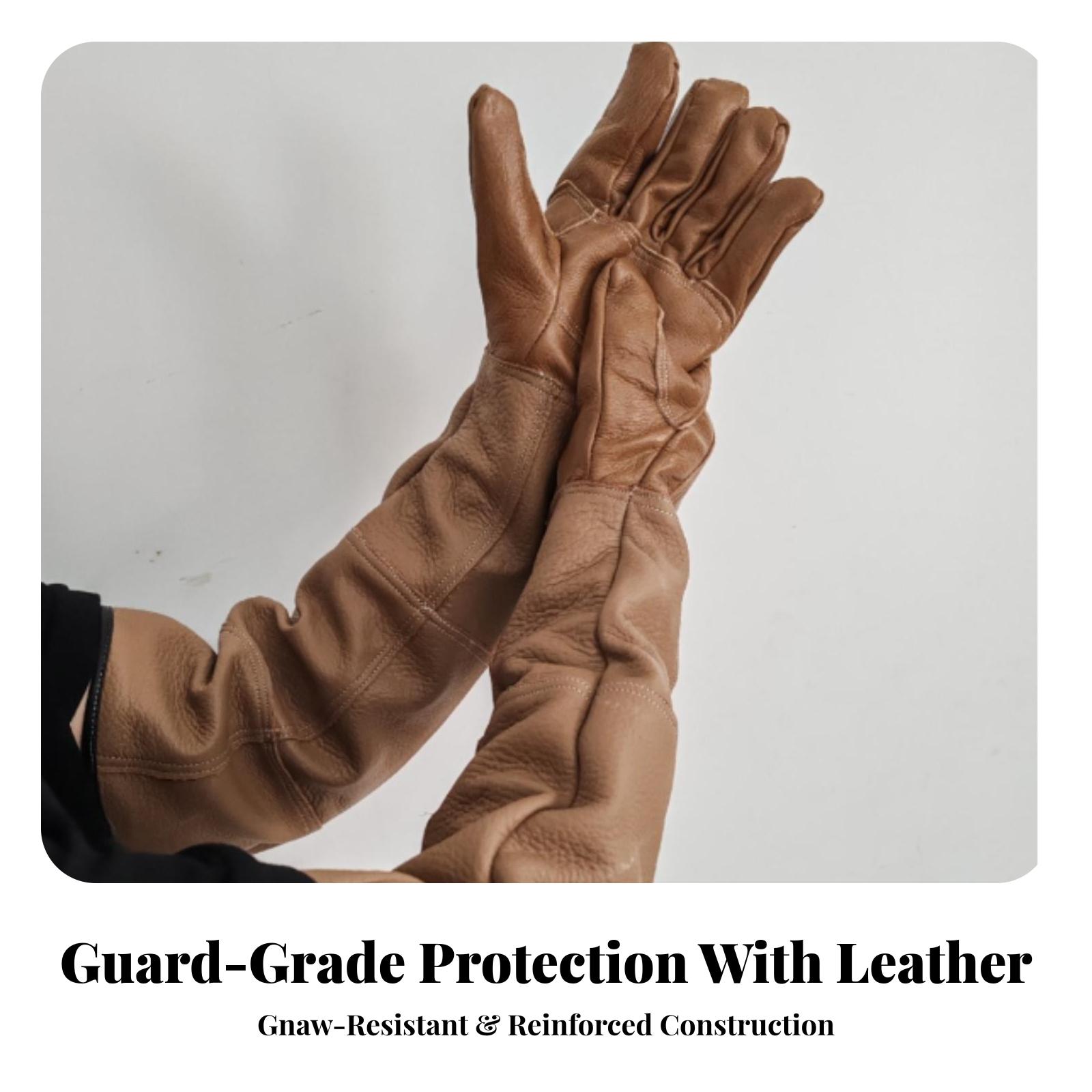 Gants de travail en cuir de va - Gardening Gloves Thorn Proof Leather avis et prix