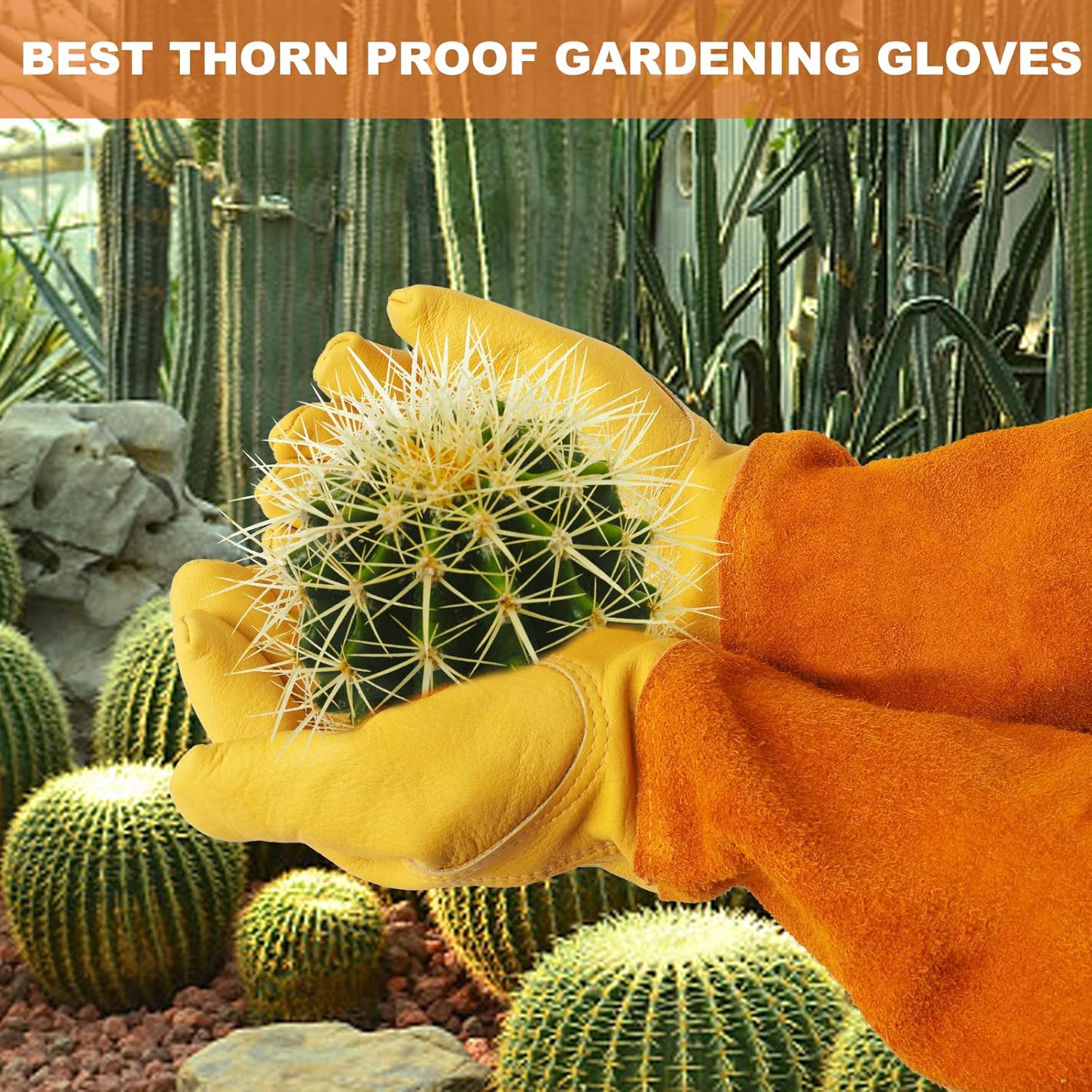 Gants de jardinage en cuir S-X - Gardening Gloves Thorn Proof Leather avis et prix