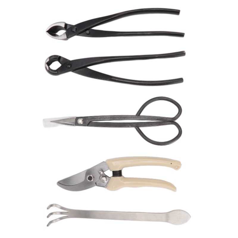 Kit d'outils pour bonsaï 5 piè - Bonsai Tool Set Stainless Carbon Steel avis et prix