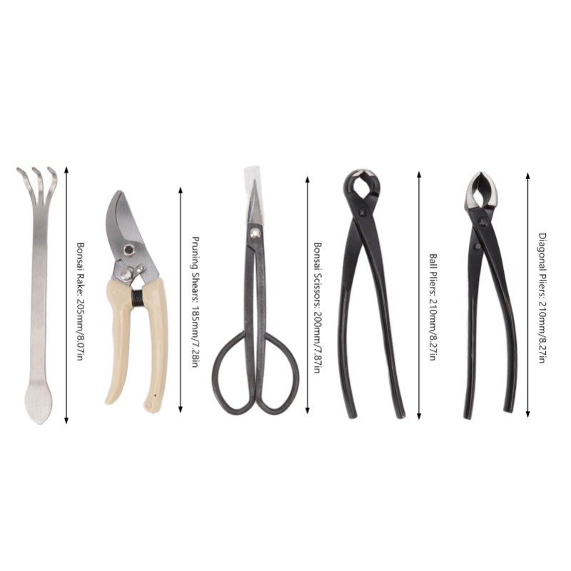 Kit d'outils pour bonsaï 5 piè - Bonsai Tool Set Stainless Carbon Steel avis et prix
