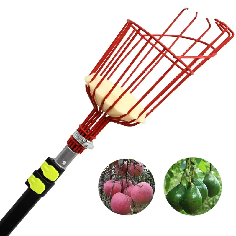 Nouvelle perche télescopique 2 - Fruit Picker Basket Telescopic Pole avis et prix