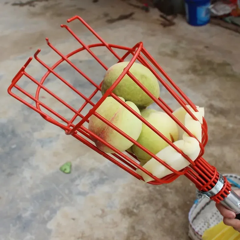 Nouvelle perche télescopique 2 - Fruit Picker Basket Telescopic Pole avis et prix