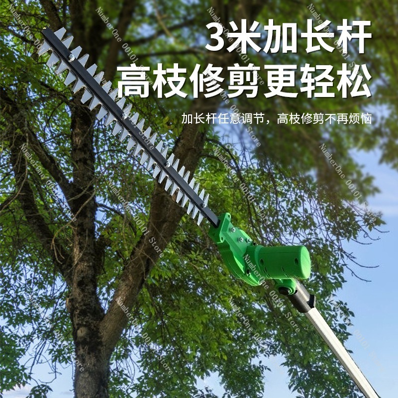 Taille-haie électrique télesco - Electric Pruner With Extension Pole avis et prix