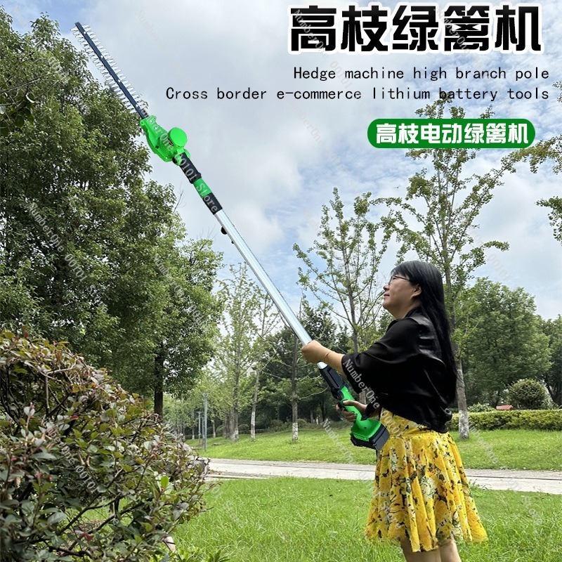 Taille-haie électrique télesco - Electric Pruner With Extension Pole avis et prix